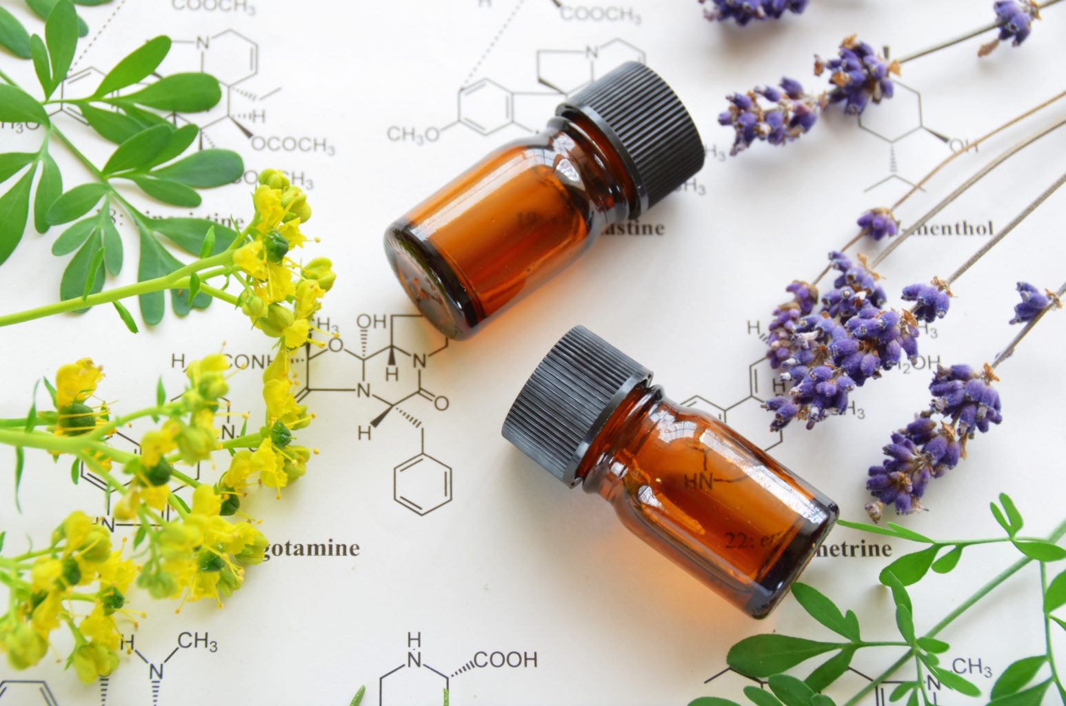 Level IV Essential Oil Chemistry 101 Course