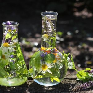 beakers with flowers in them