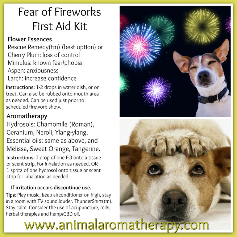 Fear of Fireworks Relief Tips Animal Aromatherapy